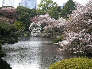 新宿御苑