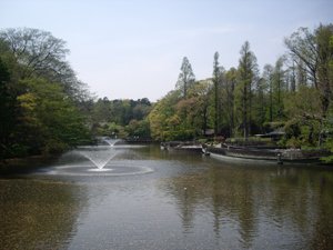 井の頭公園
