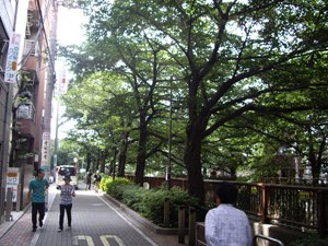 目黒川