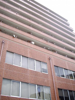 新宿賃貸間取