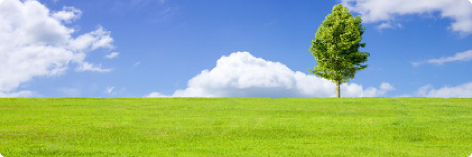 株式会社トラストホーム